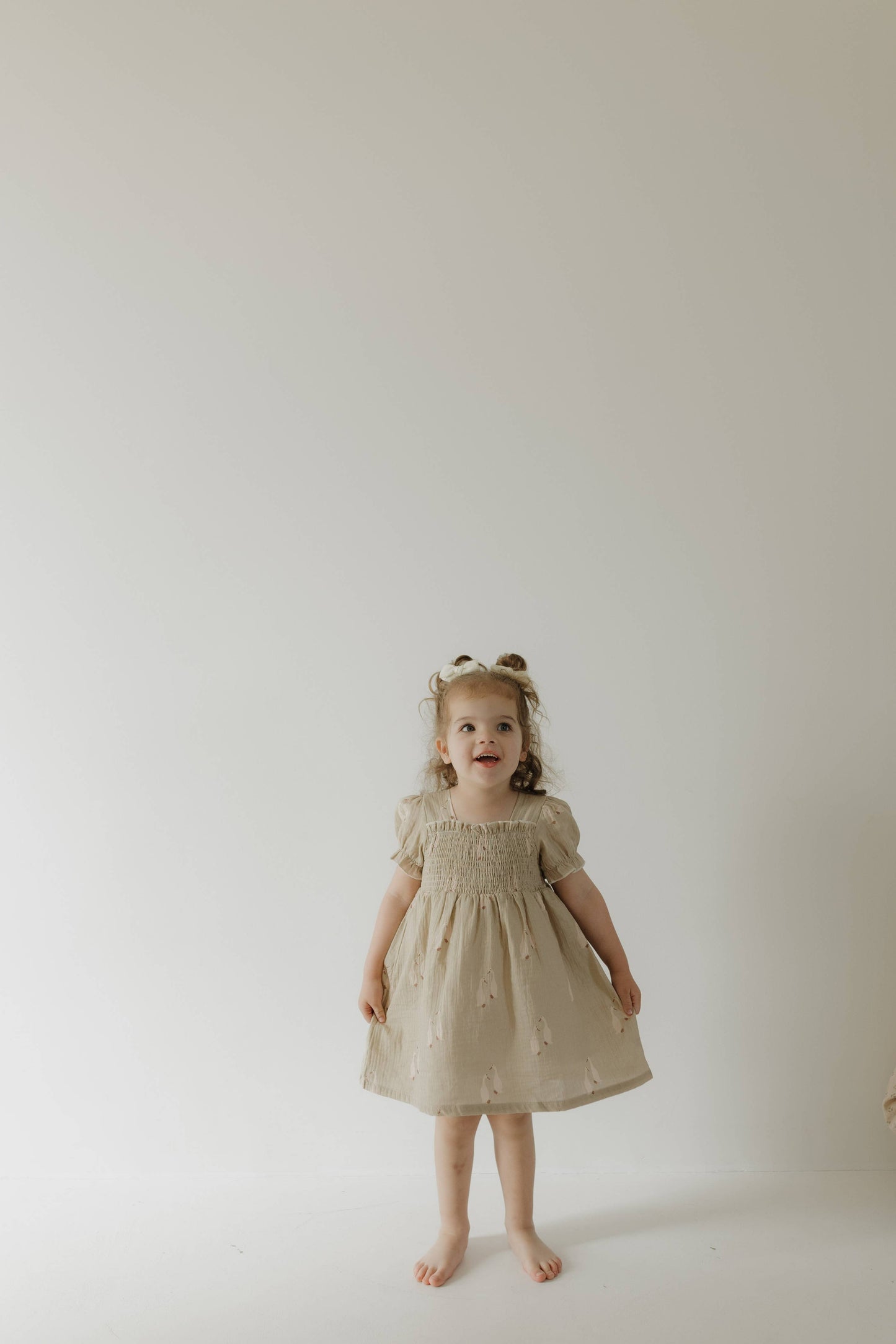 Toddler Muslin Dress | Silly Goose