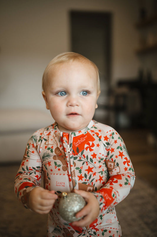 Letters to Santa Zip Romper