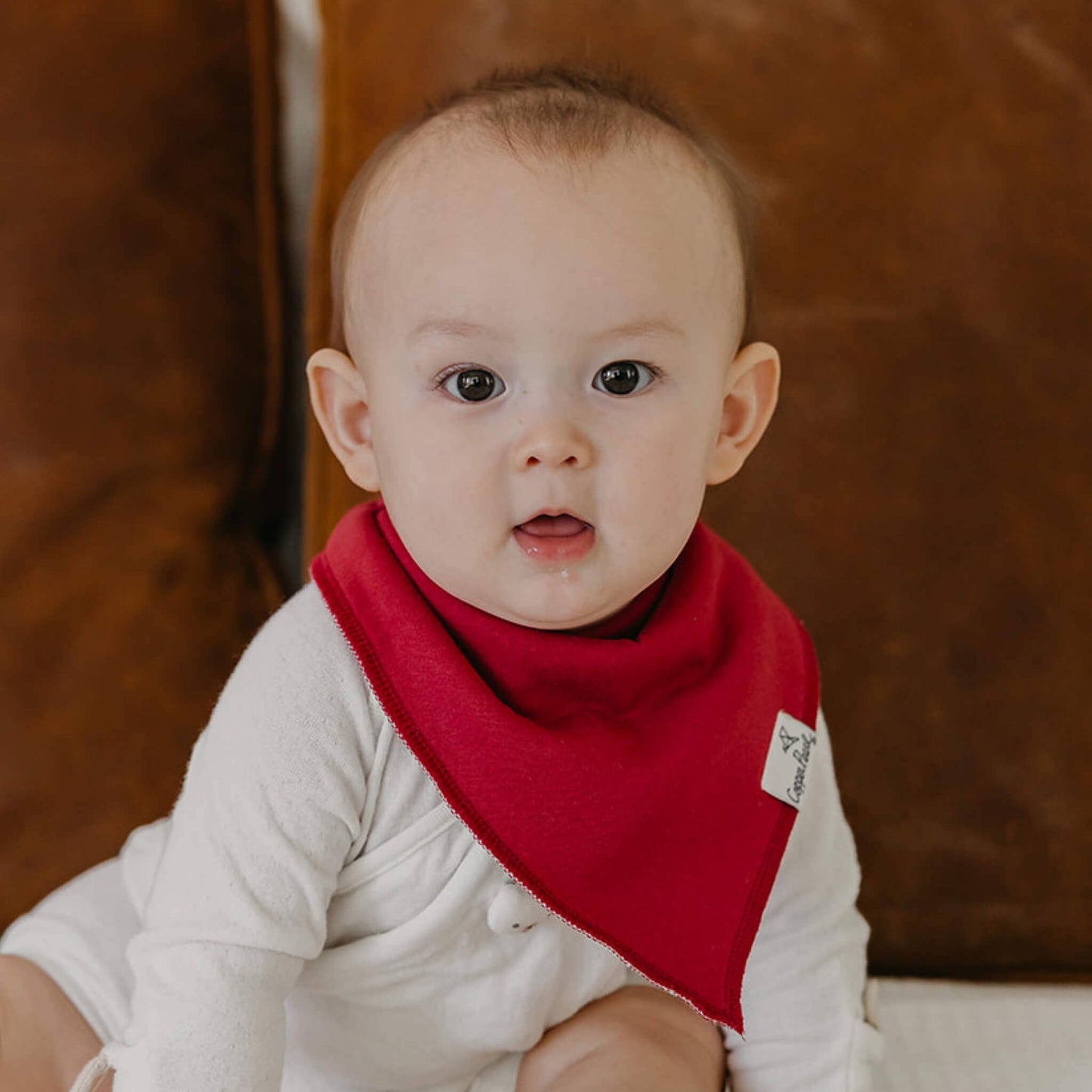 4 Pack Baby Bandana Bibs - Ivy