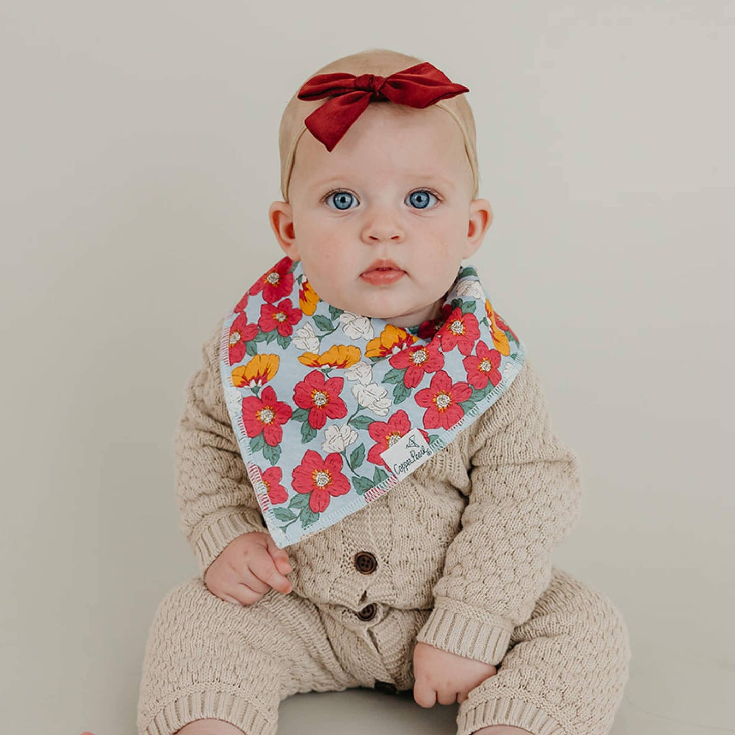4 Pack Baby Bandana Bibs - Ivy