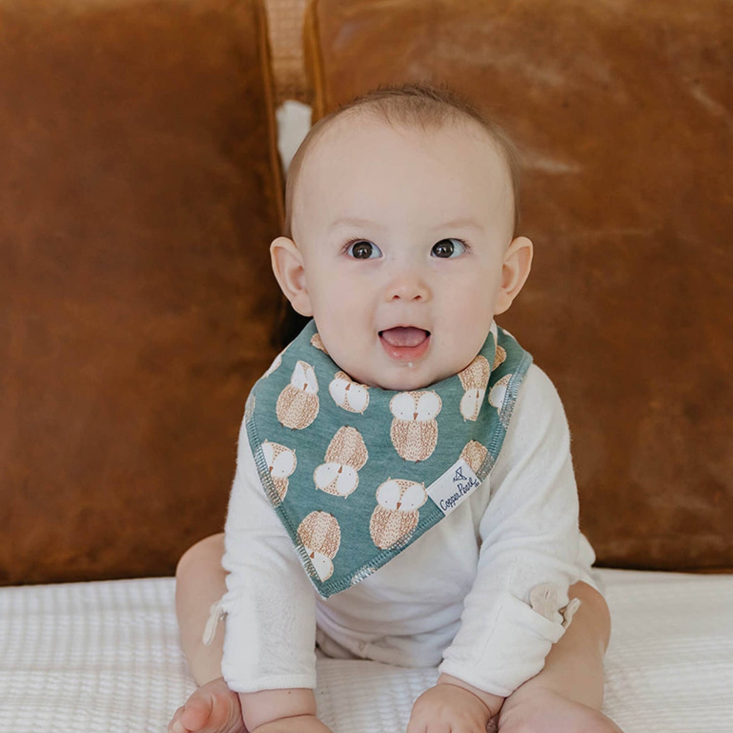 4 Pack Baby Bandana Bibs - Ivy