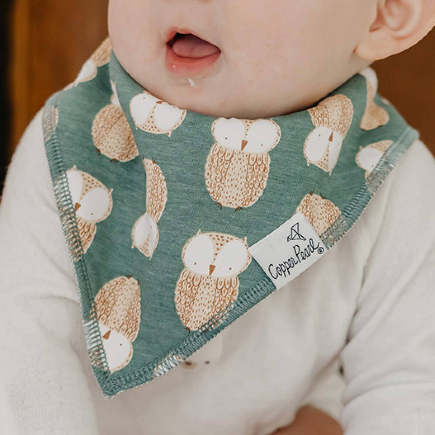 4 Pack Baby Bandana Bibs - Ivy